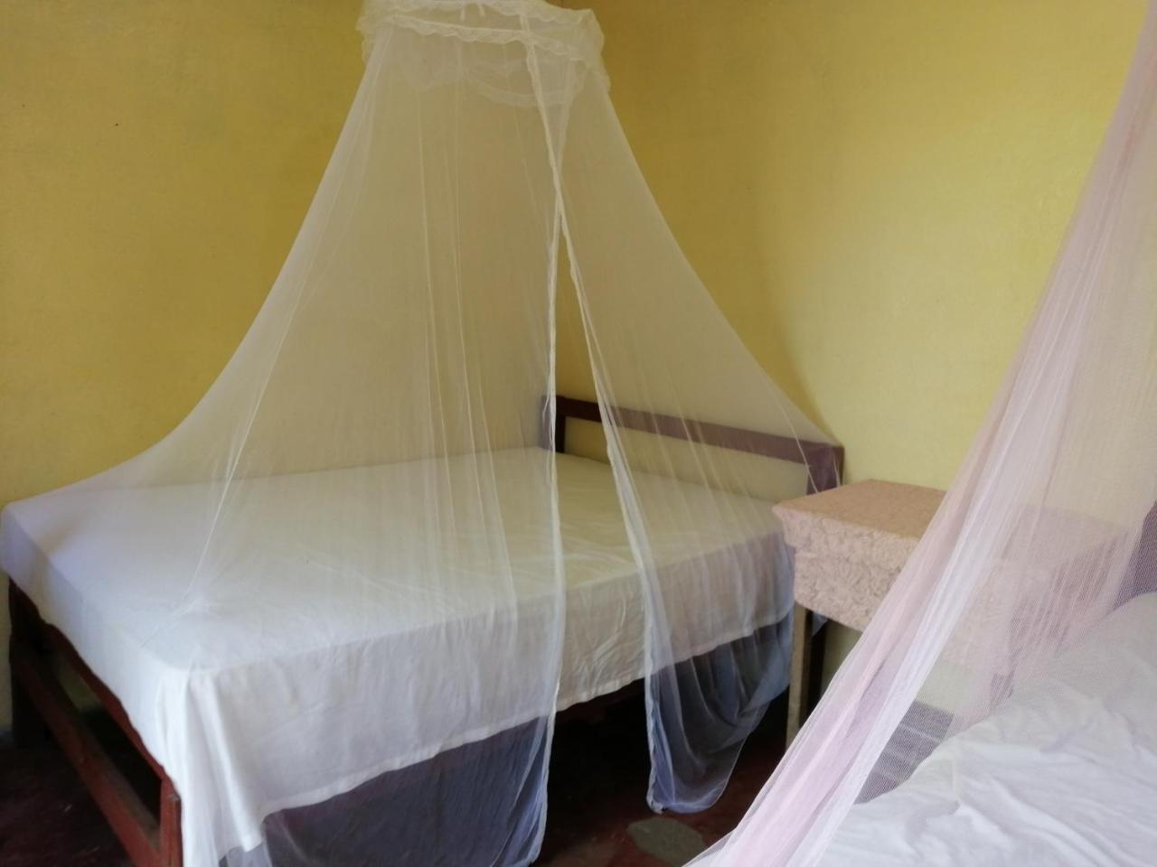 Hostal La Gloria Mérida Buitenkant foto